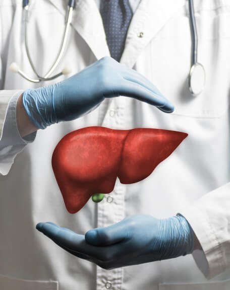 Liver