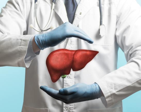 Liver